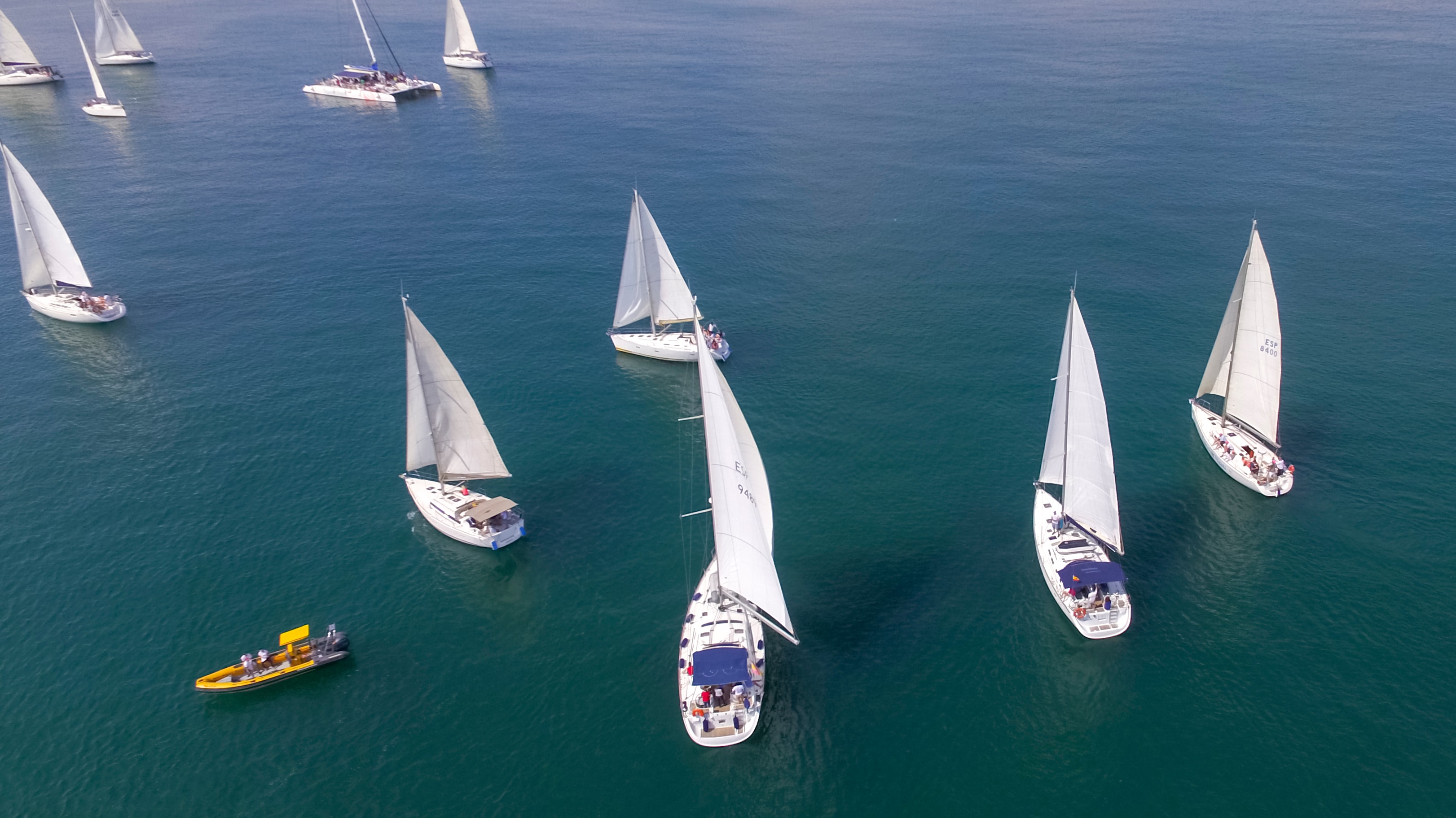 Corporate team sailing in a team-building regatta